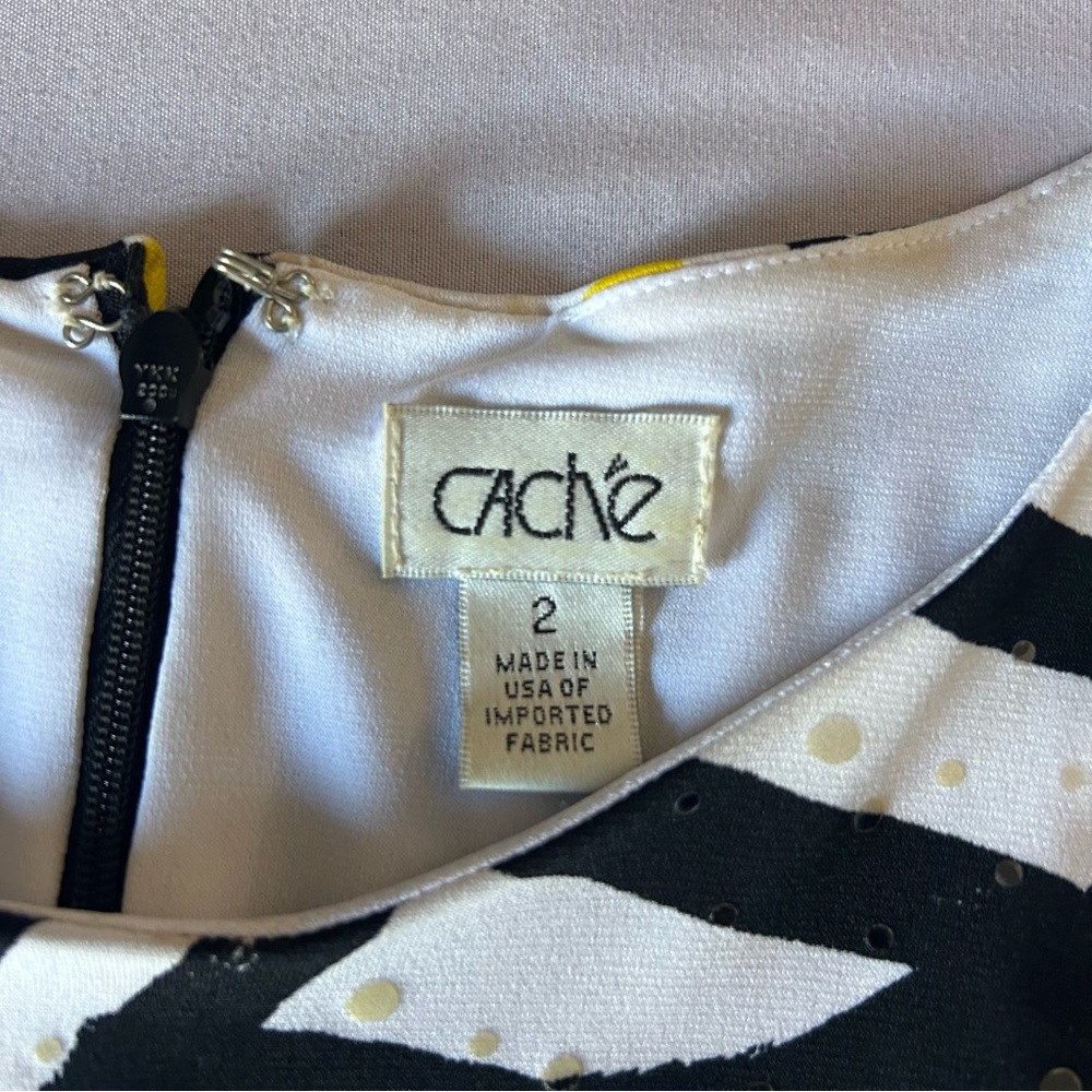 Cache Dress - Picture 4 of 4